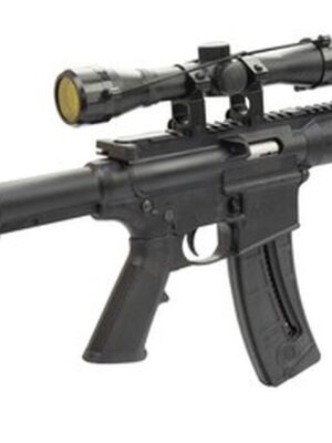 Smith & Wesson M&P15-22 Sport II Package 22 LR