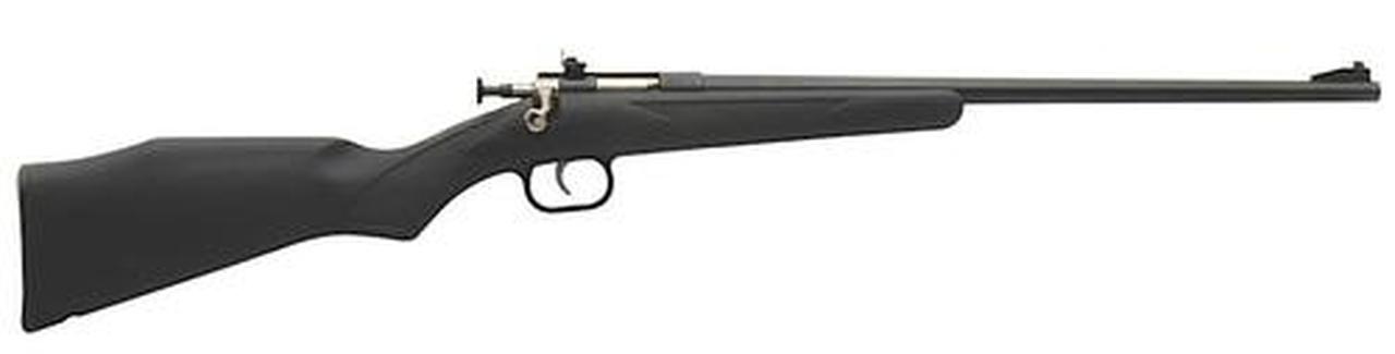 Keystone Crickett 240 22LR